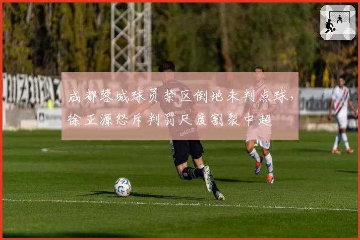 成都蓉城球员禁区倒地未判点球,徐正源怒斥判罚尺度割裂中超
