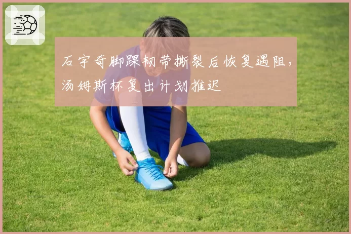 石宇奇脚踝韧带撕裂后恢复遇阻,汤姆斯杯复出计划推迟