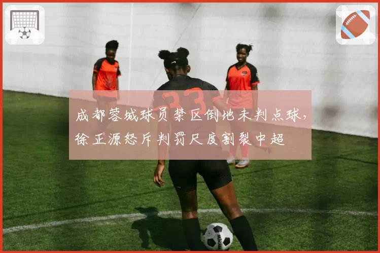 成都蓉城球员禁区倒地未判点球,徐正源怒斥判罚尺度割裂中超